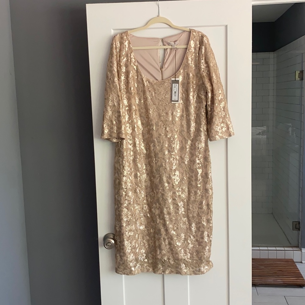Eva Menedes size 18 Champagne Dress